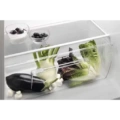 Chłodziarka Electrolux LRB3AE12S - obrazek 6